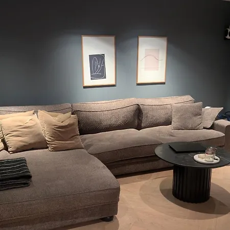 Penthouse In St Hanshaugen, Homestay Oslo