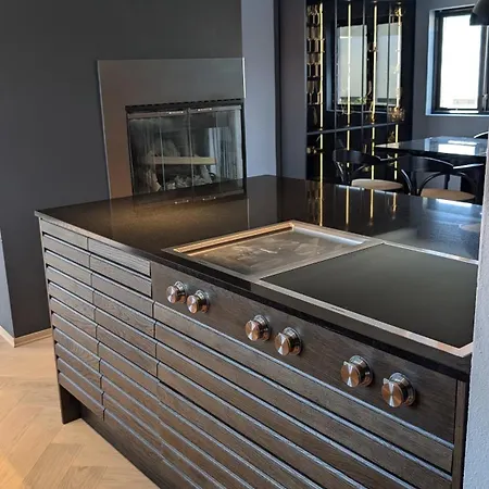 Penthouse In St Hanshaugen, *