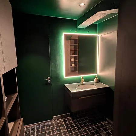 Penthouse In St Hanshaugen,
