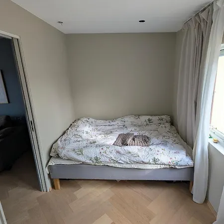 Penthouse In St Hanshaugen, * Oslo